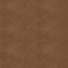 Bolsena Sofa Sleeper - Pull Up A Couch