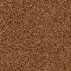 Carianna Sofa Sleeper - Pull Up A Couch