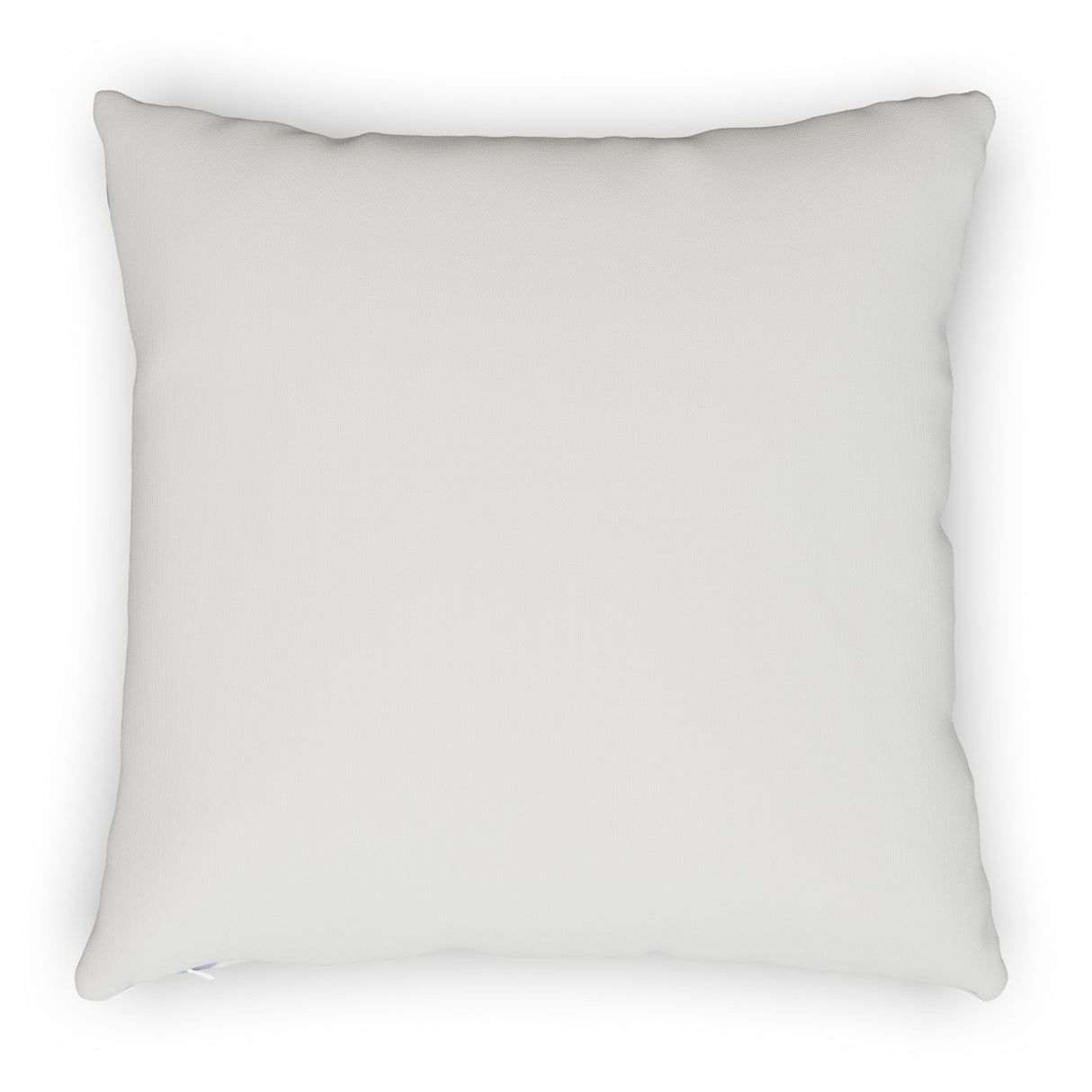 ARTICLE - Baleen Indoor/Outdoor Pillow - Ice Blue