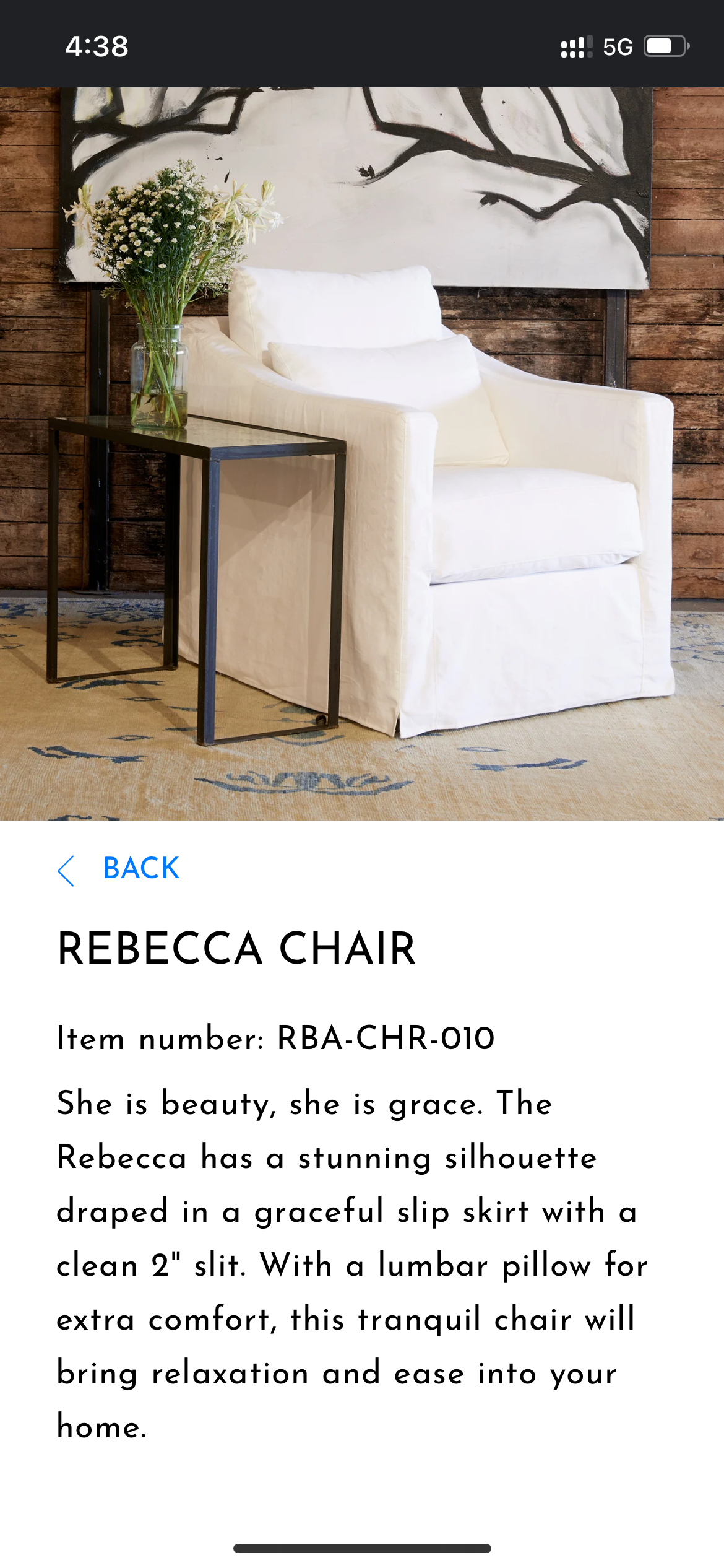 Cisco Home Rebecca Organic Chairs