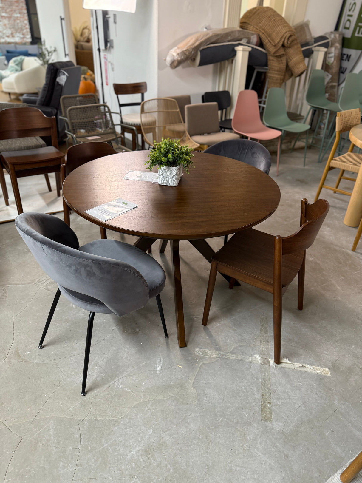 ARTICLE - Sylvo Stackable Dining Chair - Walnut