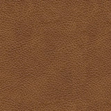 Ashley Furniture Carianna Sofa with plush upholstery and modern design, shown in a neutral fabric swatch.