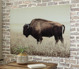 Brutus wall art by Ashley Furniture featuring a modern, abstract design suitable for contemporary home decor.