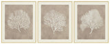 Set of three Hendridge wall art pieces by Ashley Furniture featuring modern, abstract designs for stylish home decor.