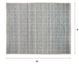 ARTICLE - Axill Indoor/Outdoor Rug (8x10)