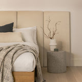 ARTICLE - Noel King Velvet Headboard